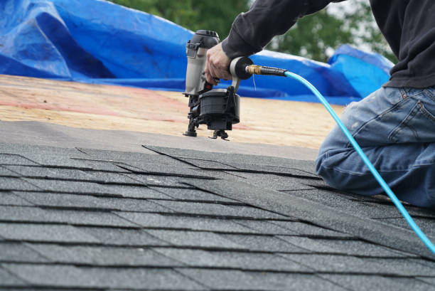 Best Roof Insulation Installation  in Eglin Af, FL